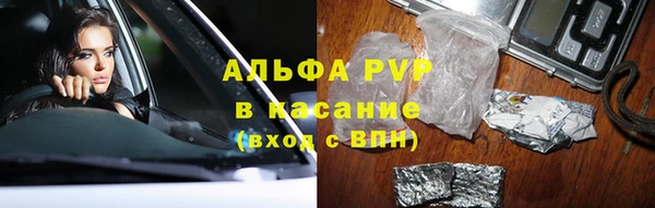 СК Новозыбков