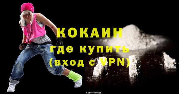 индика Новокубанск