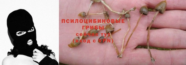 трава Алексин