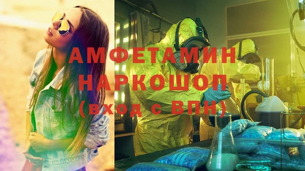 прущие грибы Липки