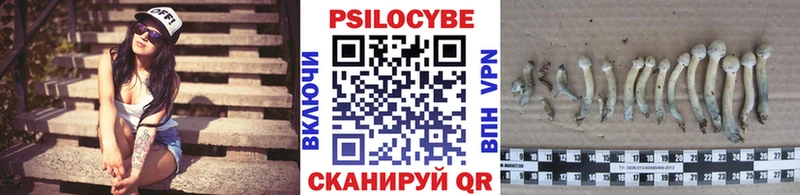 кракен как войти  Данков  Галлюциногенные грибы GOLDEN TEACHER 